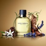 Dolce & Gabbana Pour Homme